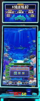 Bônus de Boas-vindas Betse